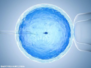 包生男孩中介机构